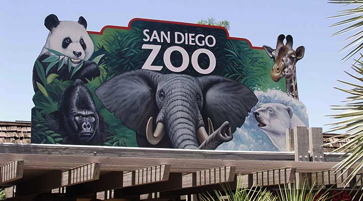Tour Zoo di San Diego